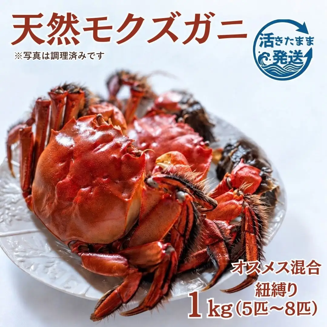 天然モクズガニ 1kg(5匹～8匹) 紐縛りオスメス混合 | カニ 蟹 新潟県 五泉市