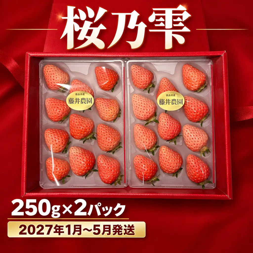 桜乃雫 250g×2パック　【fuj04_R9】