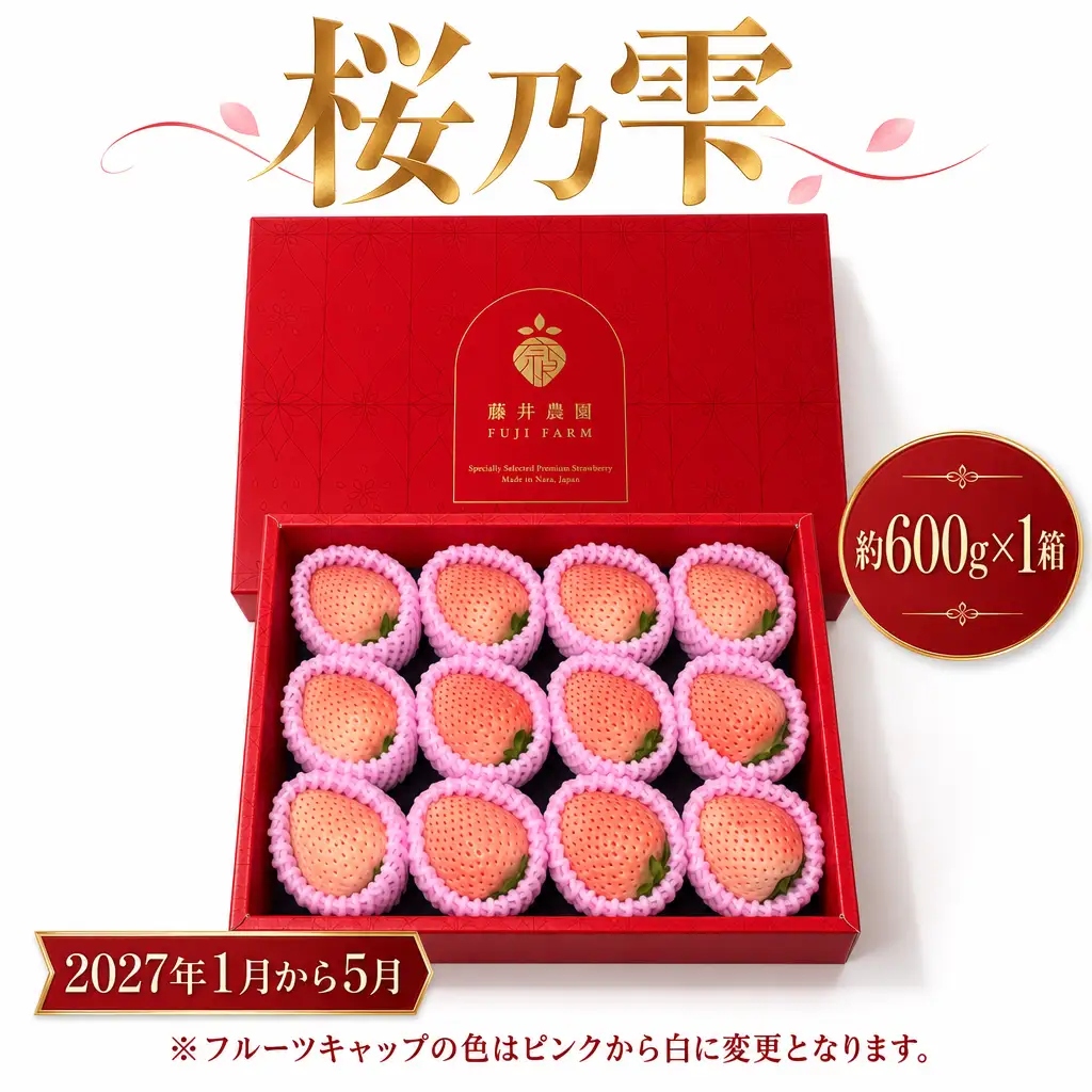 桜乃雫 大粒 1箱　【fuj05_R9】