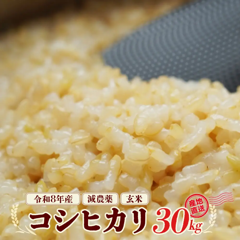 減農薬コシヒカリ玄米　30kg　令和8年産　会津　喜多方【07208-0985】