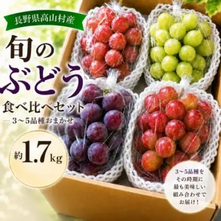 【8月下旬～10月下旬に発送】長野県高山村産 旬のぶどう食べ比べセット 約1.7kg(3～5品種)【配送不可地域：離島】【1749448】