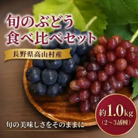 長野県高山村産 旬のぶどう食べ比べセット 約1.0kg(2～3品種)【配送不可地域：離島】【1750906】