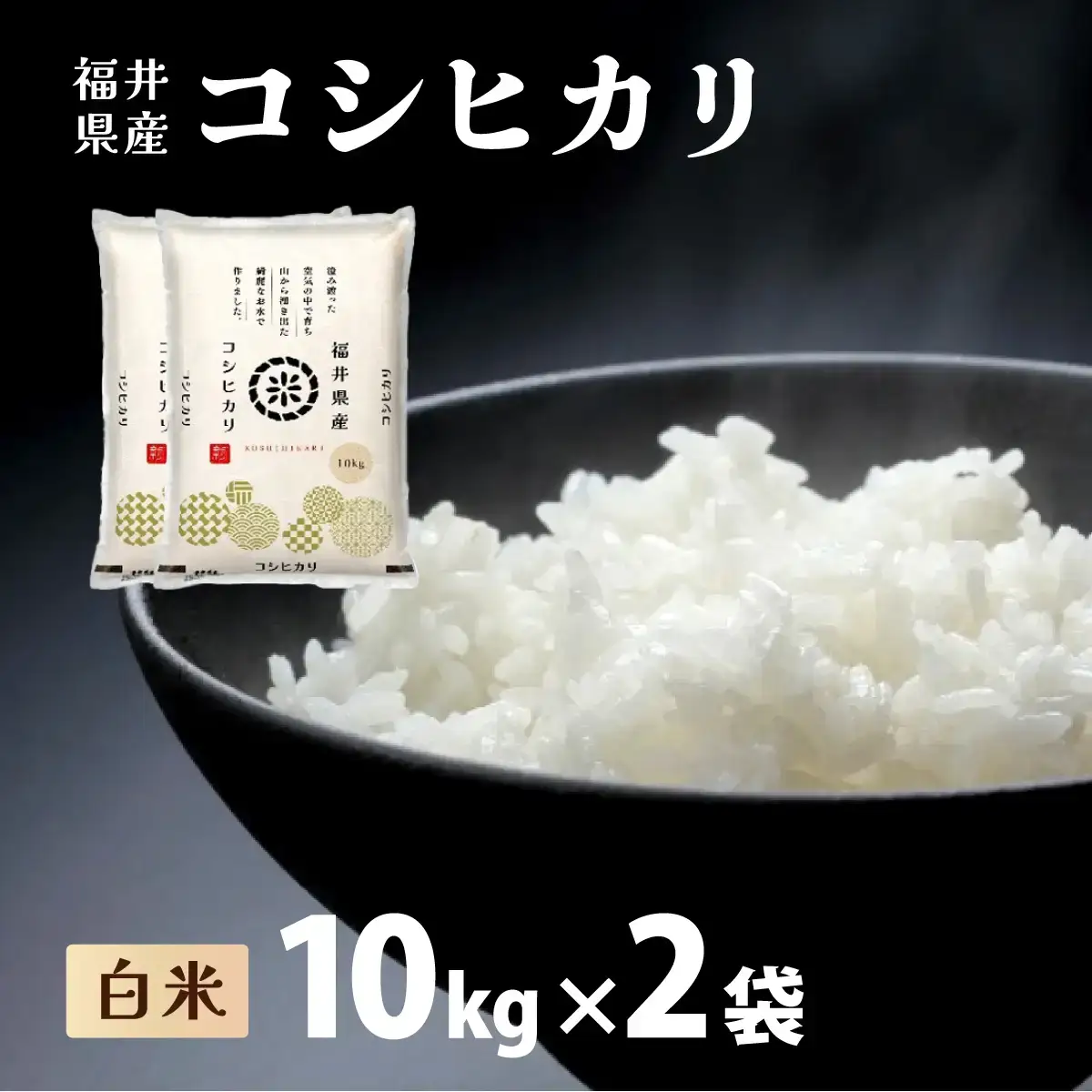 【定期便3回】コシヒカリ 20kg（10kg×2）令和8年産 [095-t03-a629]