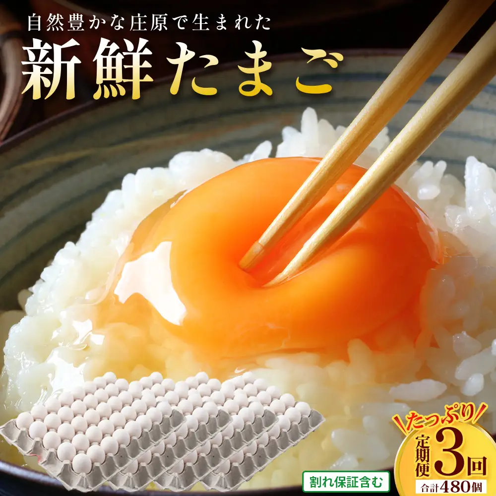 定期便 3回配送 新鮮 たまご 160個×3回 合計480個 | 自然豊かな庄原で生まれた 新鮮たまご 広島県 庄原市 訳アリ MSサイズ～2Lサイズ サイズ混合 サイズ指定不可
