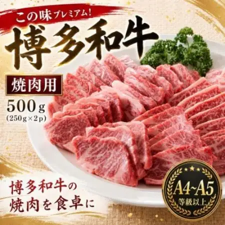 この味プレミアム!【A4～A5】博多和牛焼肉用 500g(250g×2p)【配送不可地域：離島】【1767632】