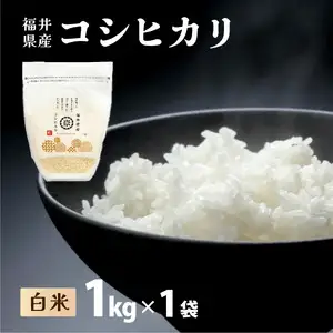 【定期便6回】コシヒカリ 1kg 令和8年産[095-t06-a029]