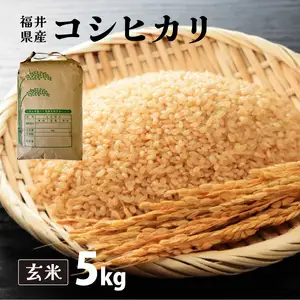 【定期便6回】コシヒカリ 玄米 5kg（5kg×1）令和8年産[095-t06-a030] 
