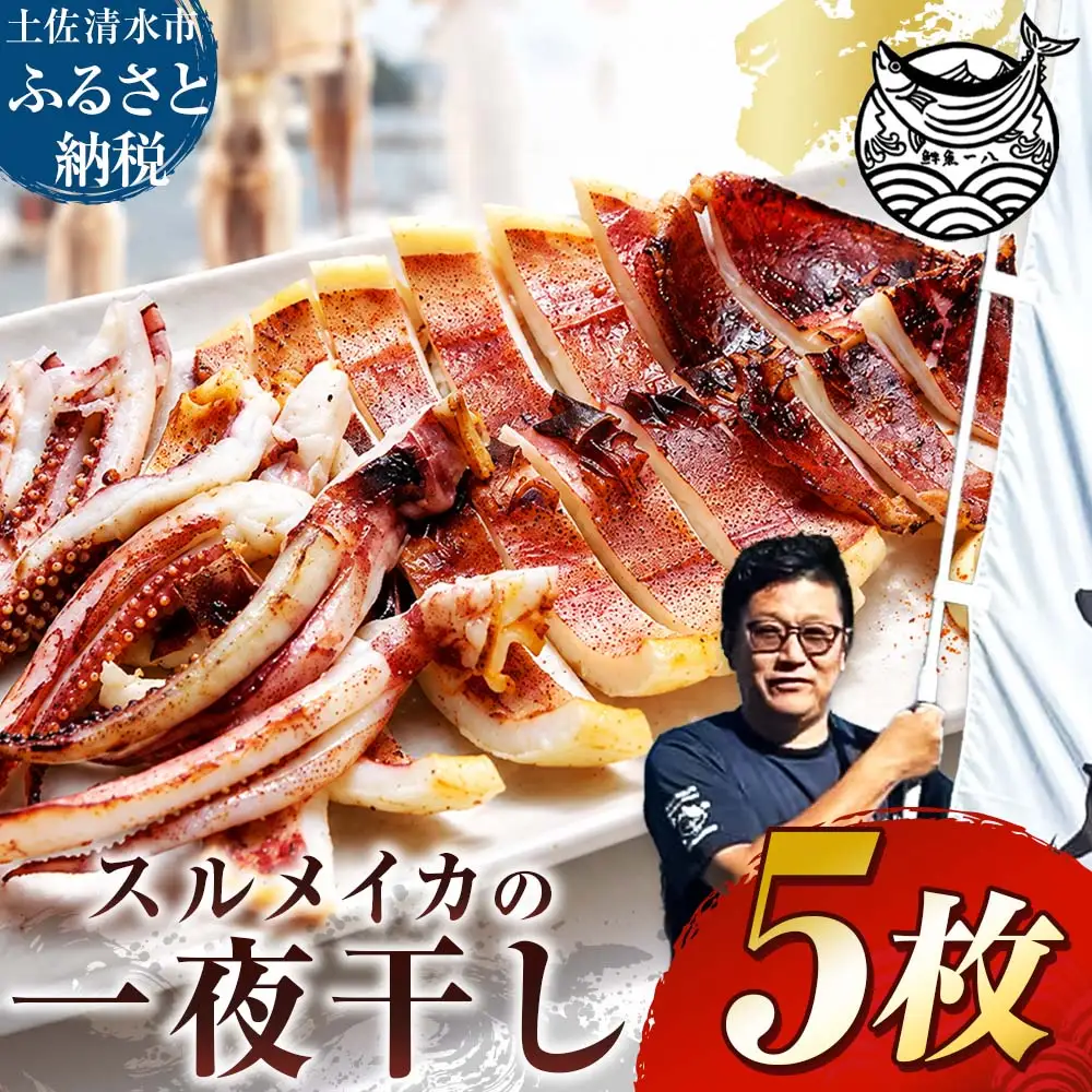 スルメイカの一夜干し 5枚 するめいか【R01784】