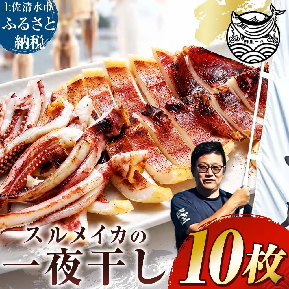 スルメイカの一夜干し 10枚 するめいか【R01785】