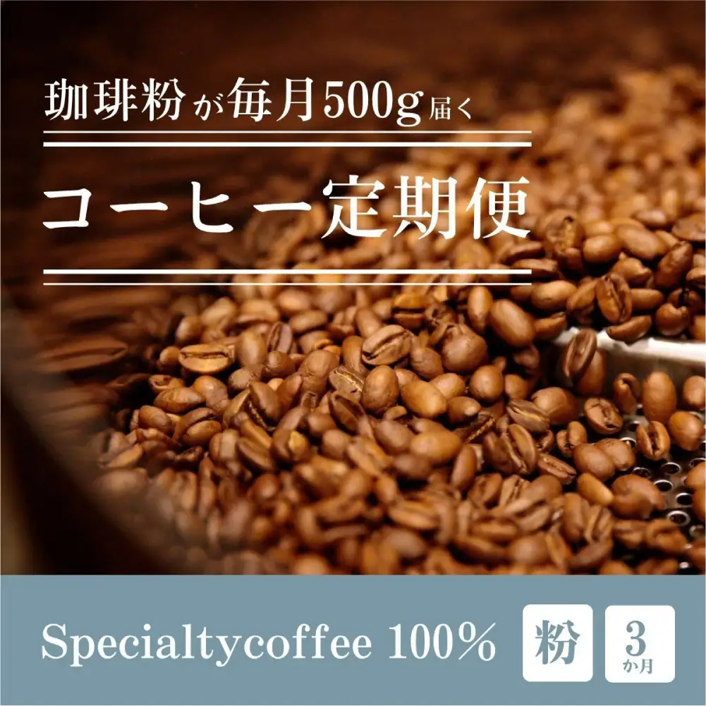 [定期1ヶ月毎3回]毎月違うスペシャルティコーヒー 500g（粉 中挽き）