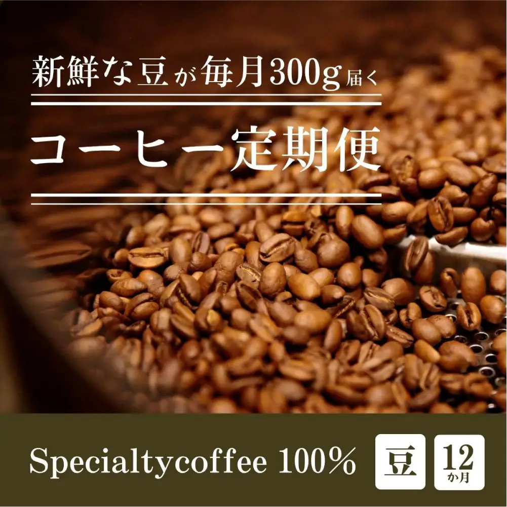 [定期1ヶ月毎12回]毎月違うスペシャルティコーヒー 300g（豆のまま）