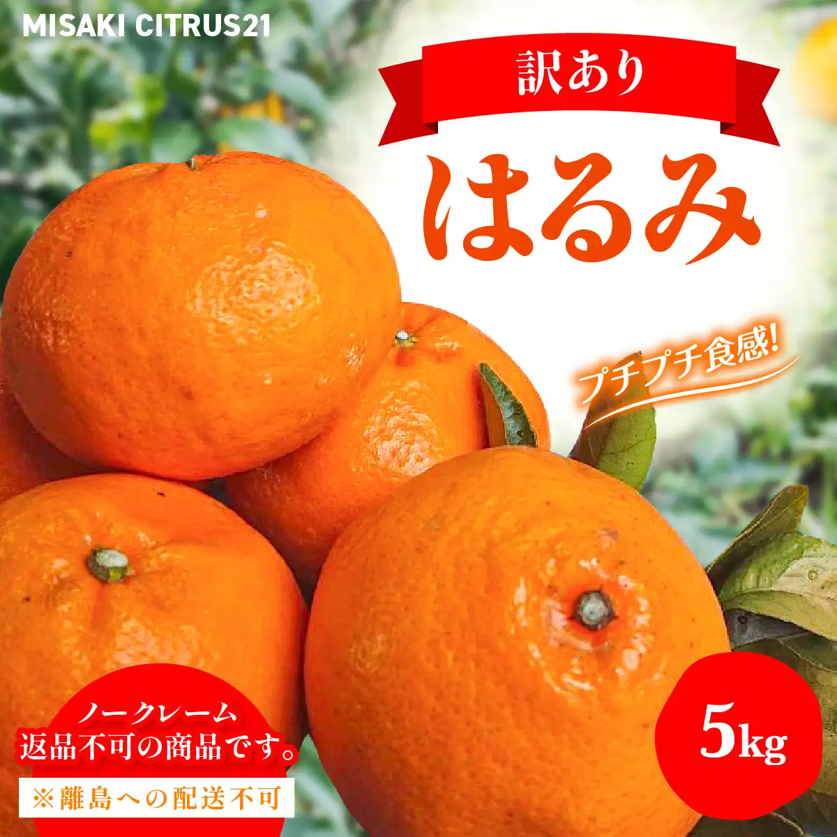 【先行予約】佐田岬　瀬戸内産　はるみ【訳あり】約5㎏ IKTBM003