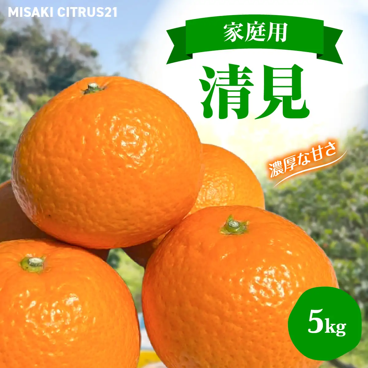 【先行予約】佐田岬　瀬戸内産　清見タンゴール【家庭用】約5㎏ IKTBM005