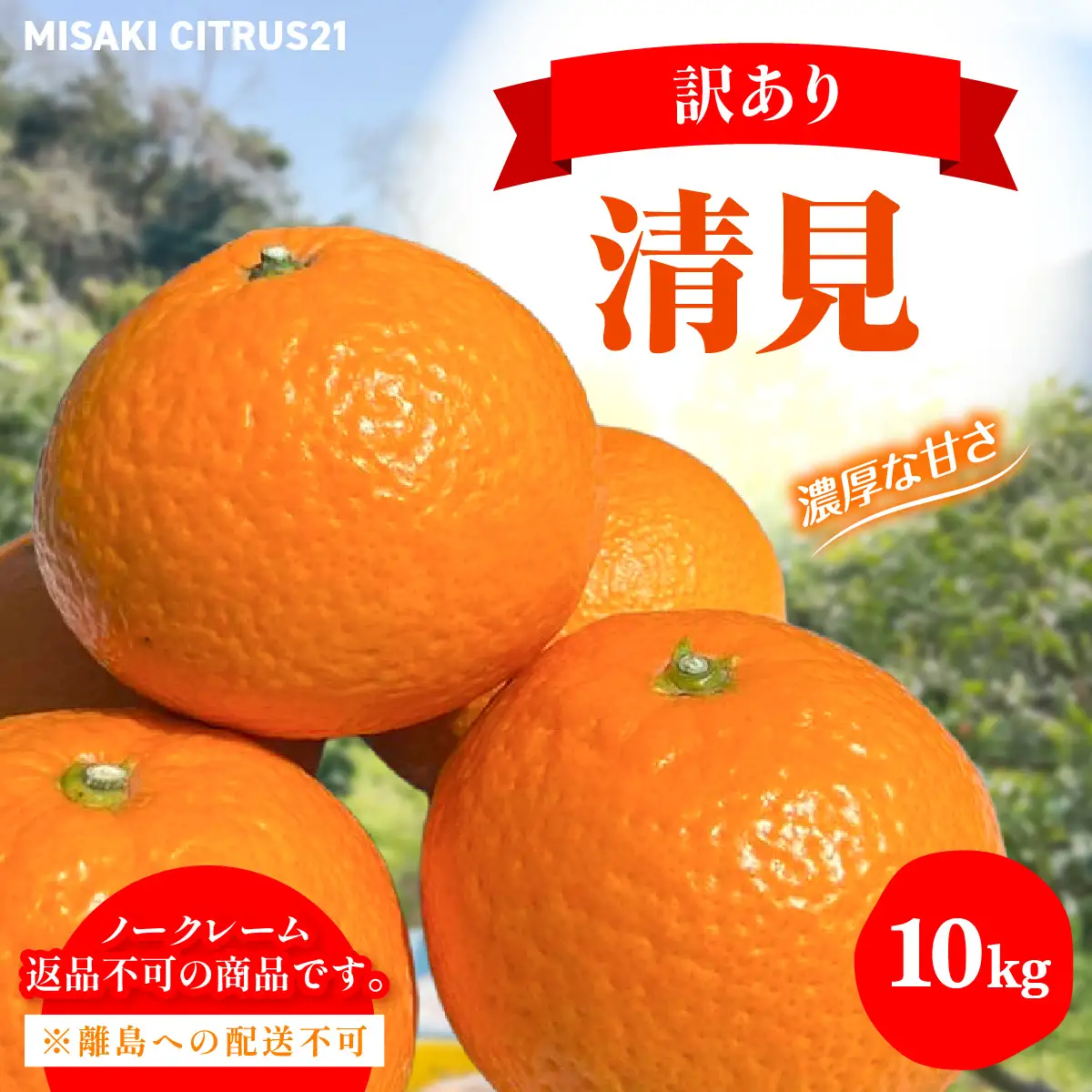 【先行予約】佐田岬　瀬戸内産　清見タンゴール【訳あり】約10㎏ IKTBM008