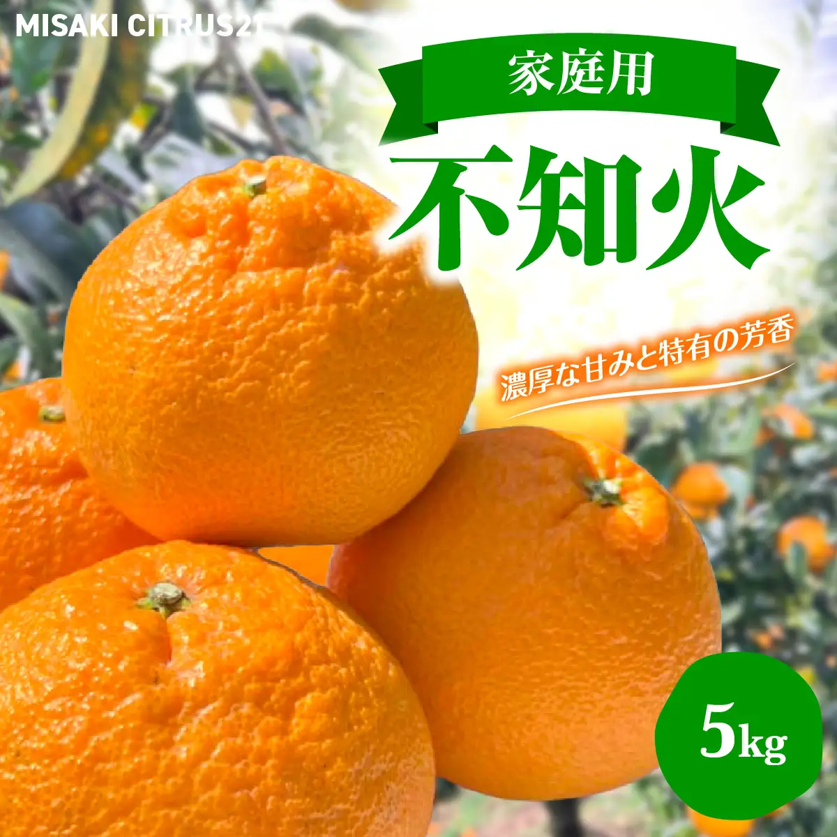 【先行予約】佐田岬　瀬戸内産　不知火【家庭用】約5㎏ IKTBM009