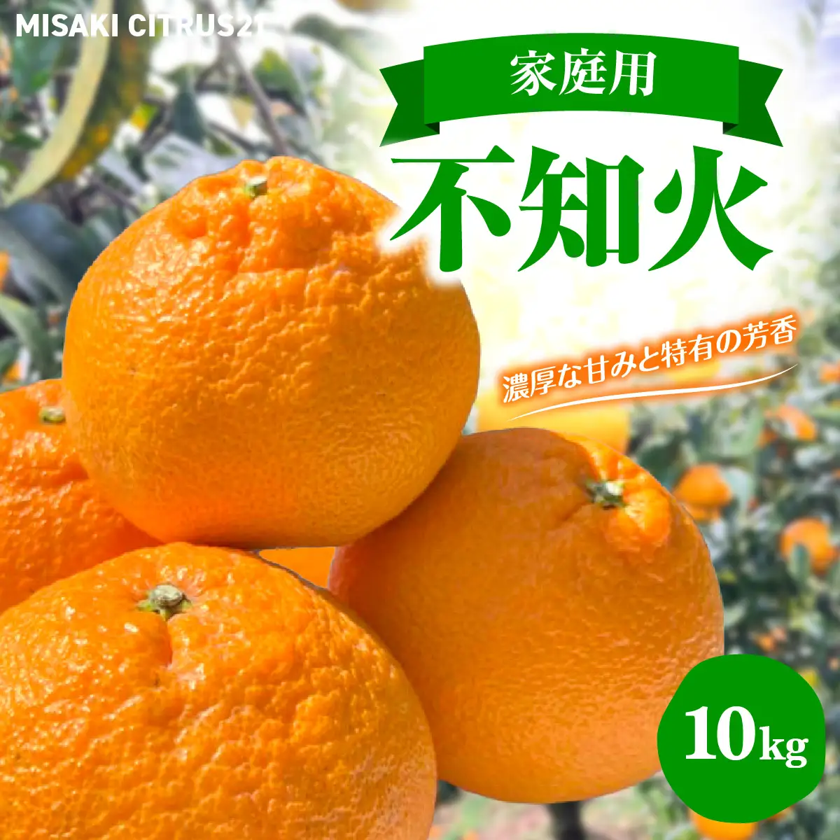 【先行予約】佐田岬　瀬戸内産　不知火【家庭用】約10㎏ IKTBM010