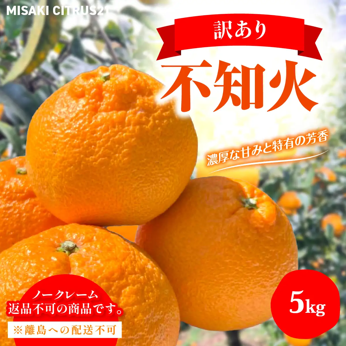 【先行予約】佐田岬　瀬戸内産　不知火【訳あり】約5㎏ IKTBM011