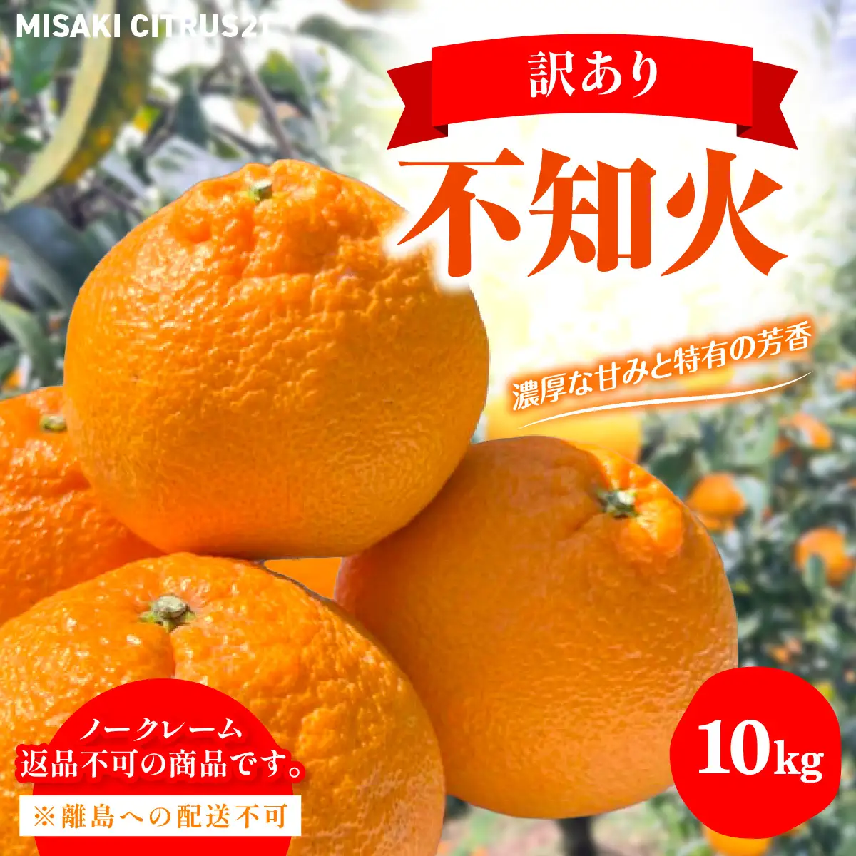 【先行予約】佐田岬　瀬戸内産　不知火【訳あり】約10㎏ IKTBM012