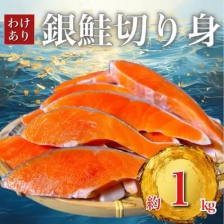 B級 銀鮭切り身(打ち身、不揃い、色飛び) 訳あり 約1kg【配送不可地域：離島】【1788004】