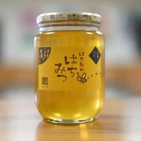 一戸町産はちみつ　はち郎のはちみつ850g(けんぽなし)【1788093】