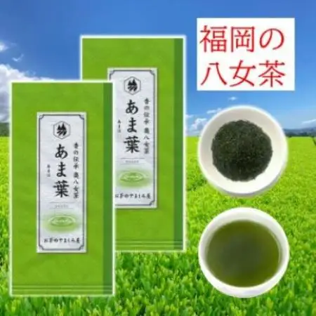 福岡県産 八女かぶせ茶 (あま葉) 100g詰め 2本【1785696】