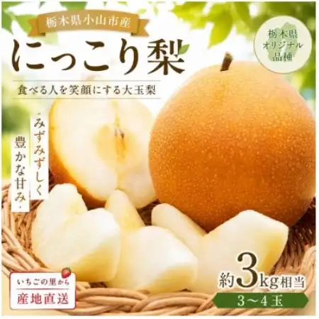 栃木県産 にっこり梨 3～4玉(約3kg)【1745253】