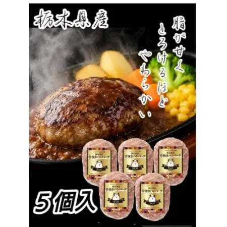 小山ブランド豚使用!肉汁溢れる合挽きハンバーグ【5個入り】【配送不可地域：離島】【1757145】