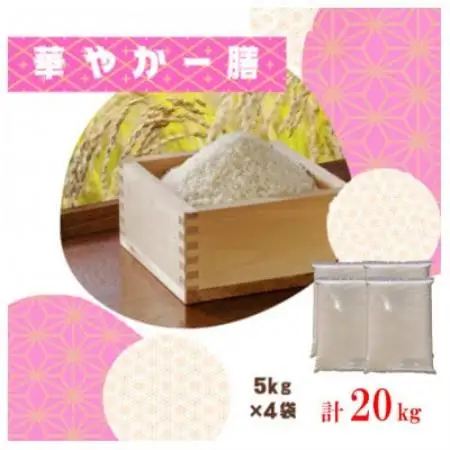 【毎月定期便】訳あり【無地袋梱包】蛇紋岩ブランド 華やか一膳 20kg(5kg×4)全12回【4093780】
