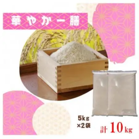 【毎月定期便】訳あり【無地袋梱包】蛇紋岩ブランド 華やか一膳 10kg(5kg×2)全3回【4093781】