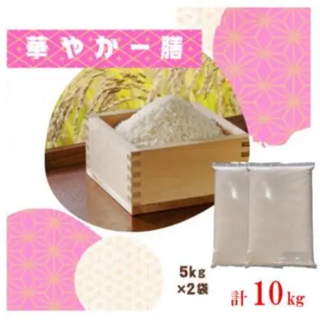 【毎月定期便】訳あり【無地袋梱包】蛇紋岩ブランド 華やか一膳 10kg(5kg×2)全6回【4093782】