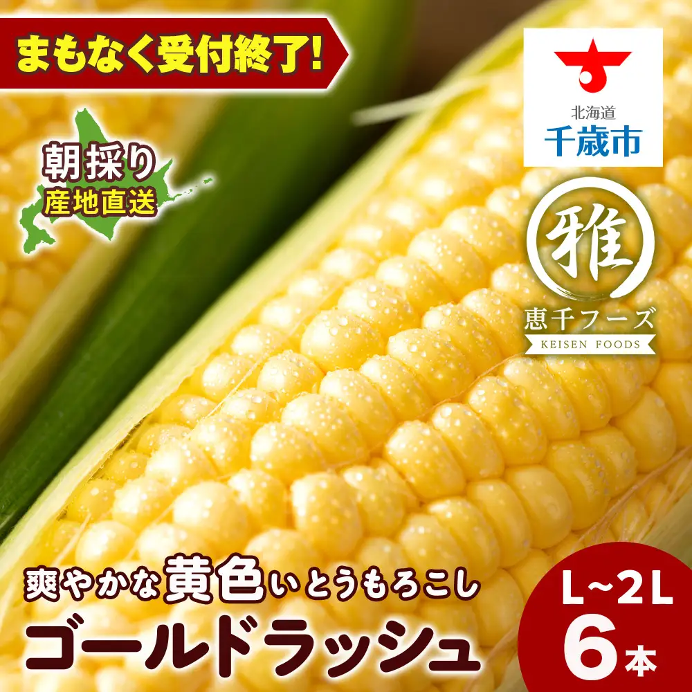 とうもろこし ゴールドラッシュ L~2L 6本