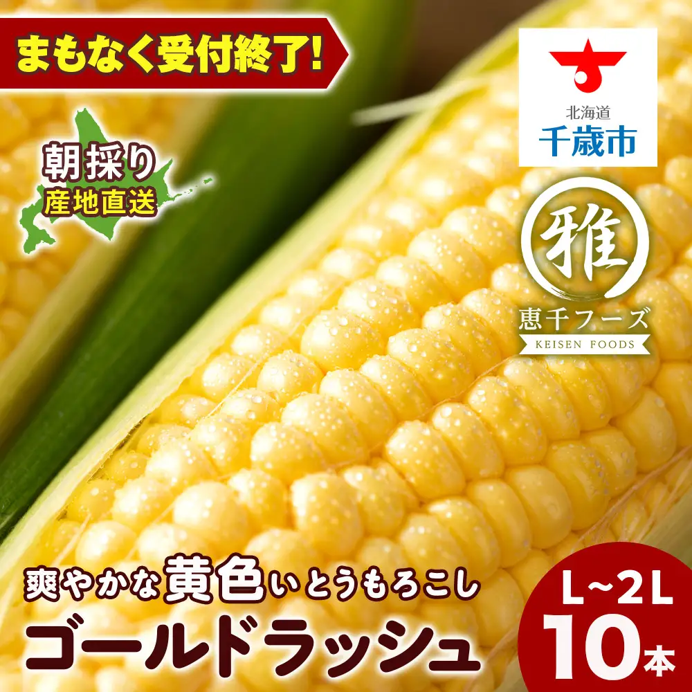 とうもろこし ゴールドラッシュ L~2L 10本