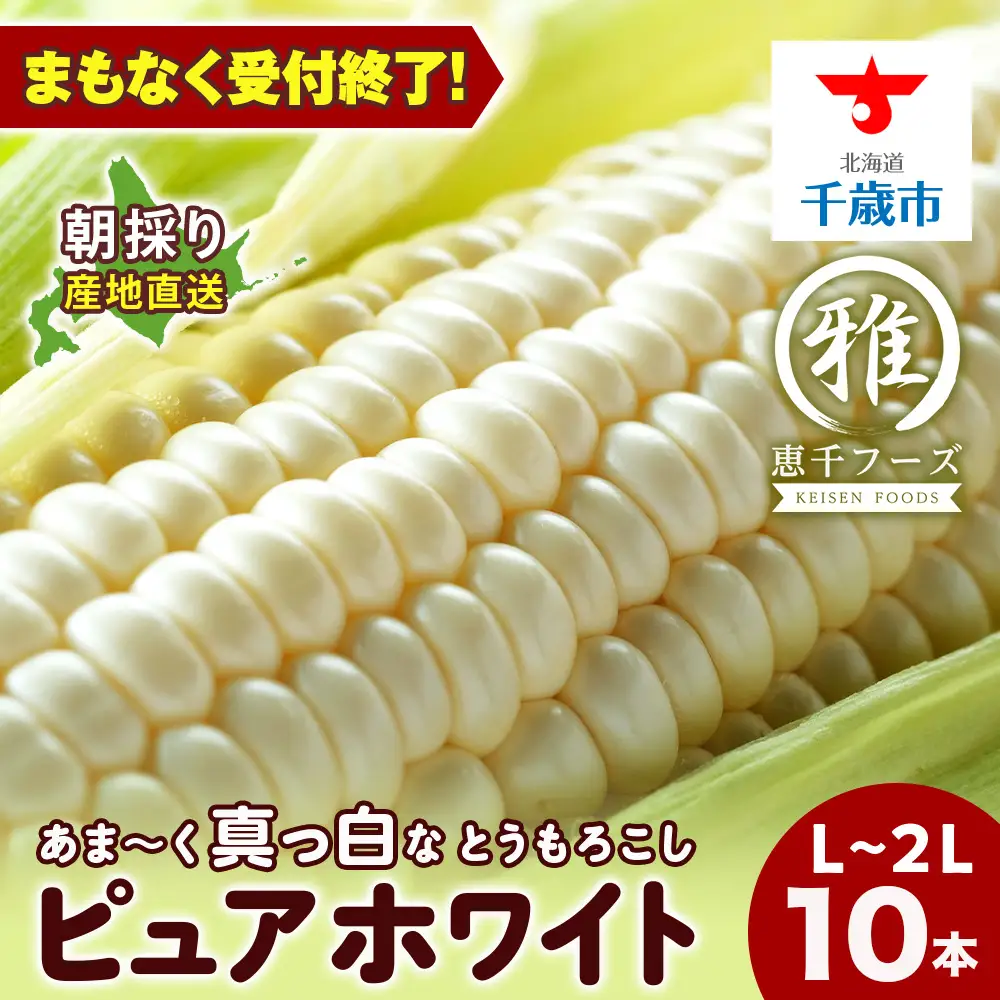 白いとうもろこし ピュアホワイト L~2L 10本