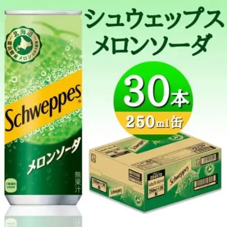 シュウェップスメロンソーダ　250ml缶【1776470】
