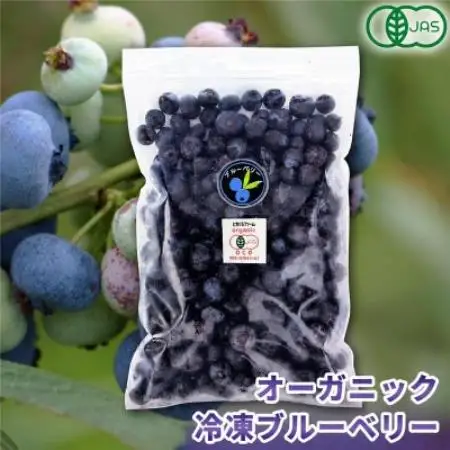 有機JAS認証 冷凍ブルーベリー3.5kg(500g×7袋)【北海道十勝産】【配送不可地域：離島】【1743554】