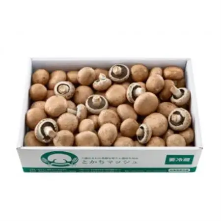 とかちマッシュ ブラウンMIX1.5kg【配送不可地域：離島】【1772392】