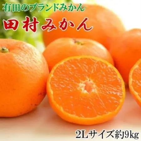 【ブランドみかん】田村みかん大玉約9kg(2Lサイズ)2026年11月下旬より順次発送【1775495】