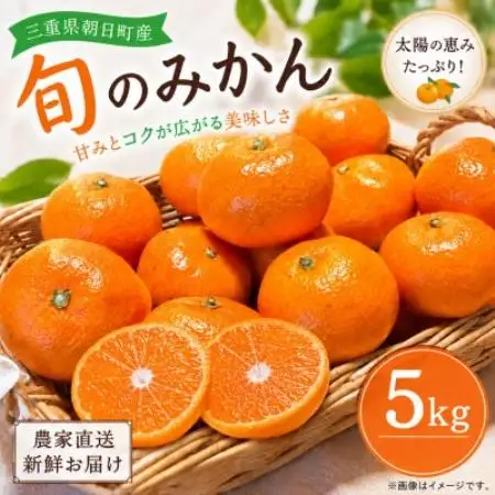 朝日町の太陽が育てた旬のみかん 約5kg　サイズ混合【2026年11月下旬より発送】【1753384】