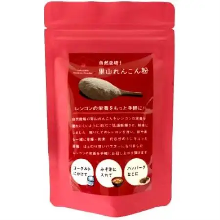 里山れんこんパウダー　100g【1770087】