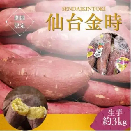 【宮城県産】仙台金時　さつまいも約3kg【1748701】
