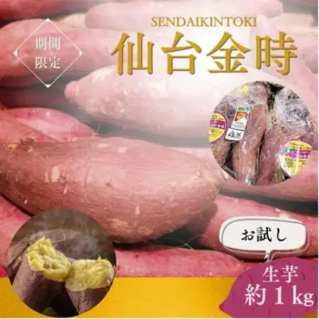 【宮城県産】仙台金時　さつまいも約1kg【1748706】