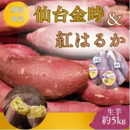 【宮城県産】仙台金時・紅はるか　さつまいも計約5kg【1748709】