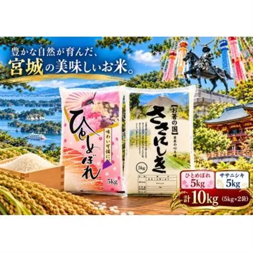 宮城県産ひとめぼれ5kg　ササニシキ5kg　計10kg【精米】【1786118】