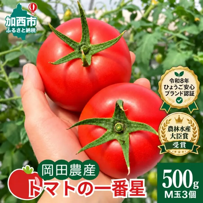 トマト 野菜 トマトの一番星 完熟 高糖度 トマト【500g】【冷蔵】