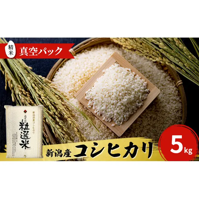 令和8年産 新潟産コシヒカリ5kg 真空パック