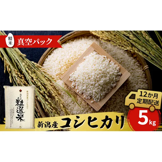 令和8年産 新潟産コシヒカリ5kg　真空パック（12か月定期配送）