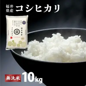 コシヒカリ 無洗米 10kg（10kg×1）令和8年産 [095-a131] 