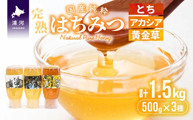 国産純粋完熟はちみつ3種セット(とち・アカシア・黄金草)ご家庭用計1.5kg[16-1053]