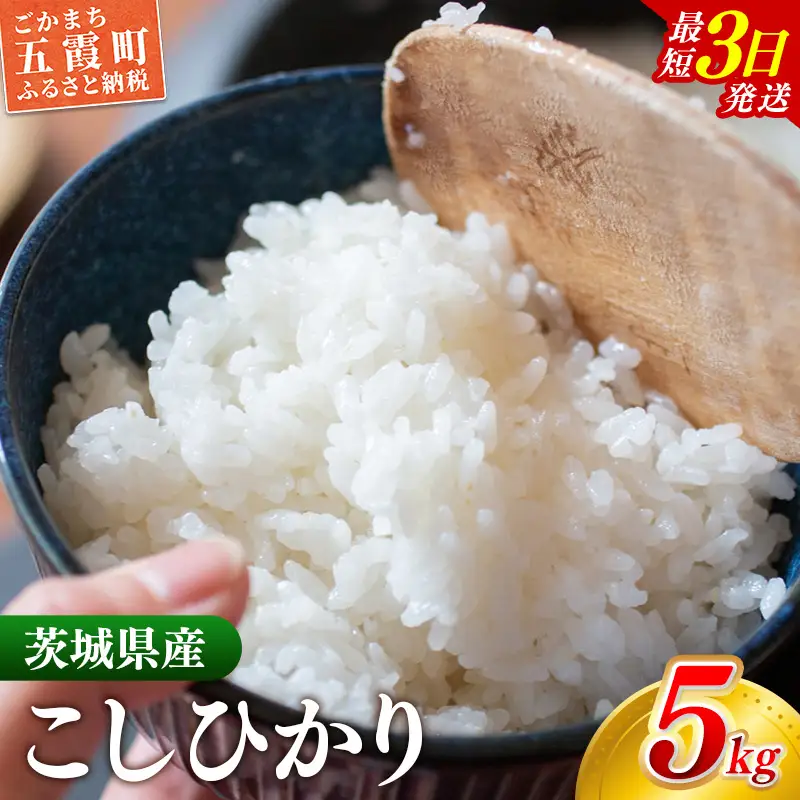 新米 令和8年産 こしひかり 精米 5kg (5kg×1袋) コシヒカリ 中山産業