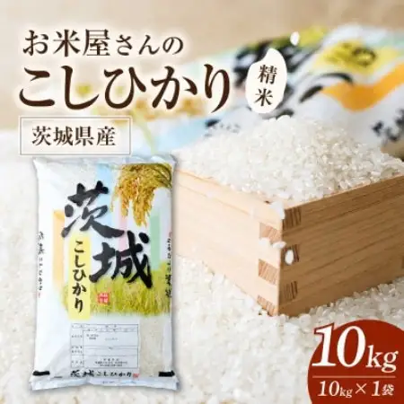 令和8年産 新米 お米屋さんのコシヒカリ 精米 10kg(1袋)【1787838】